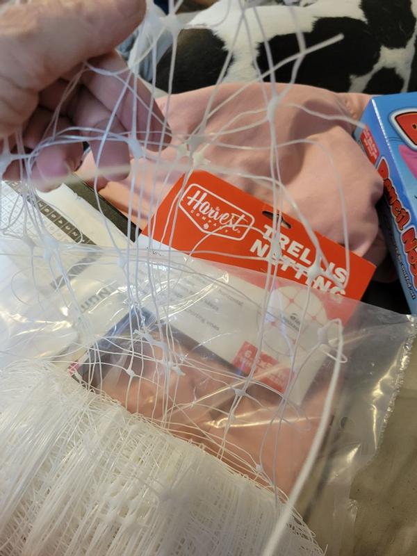 Review photo 8.