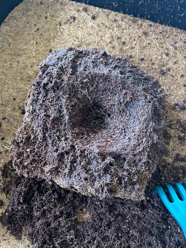 Char Coir 32 ct. Coco Cube 1-Gal RHP Certified Compressed Coco