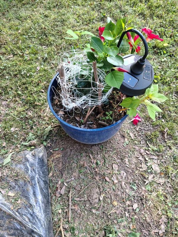 Review photo 4.