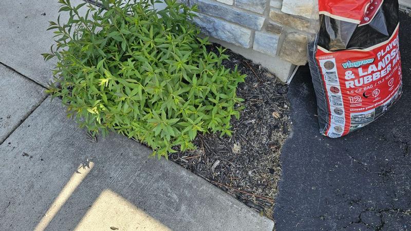 Review photo 2.