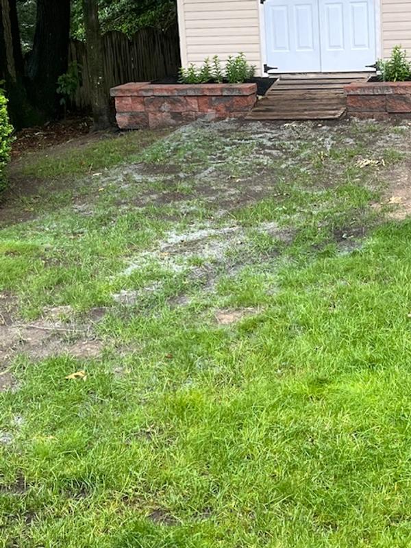 thumbnail image 2 of Growtrax Quick Fix Grass Seed Mat - 50 Sqft Roll For Year-Round Green Lawn Repair (Tall Fescue) 2 of 5