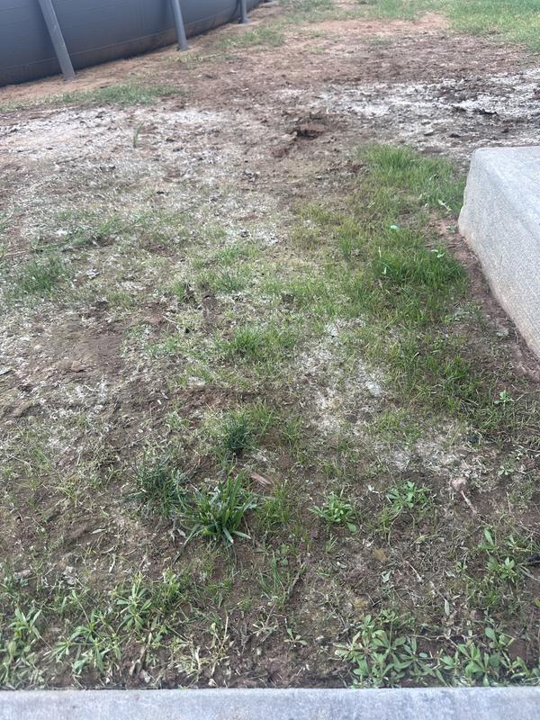 ヨガ seed and soil Scotts Turf Builder THICK'R LAWN and EZ Seed Patch & Repair