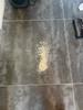 ROWENTA X-FORCE FLEX 9.60 COMPLETE RH2098WO