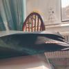 ROWENTA AIR MOTION NOIR CHROME CUIVRE CF8C20E0