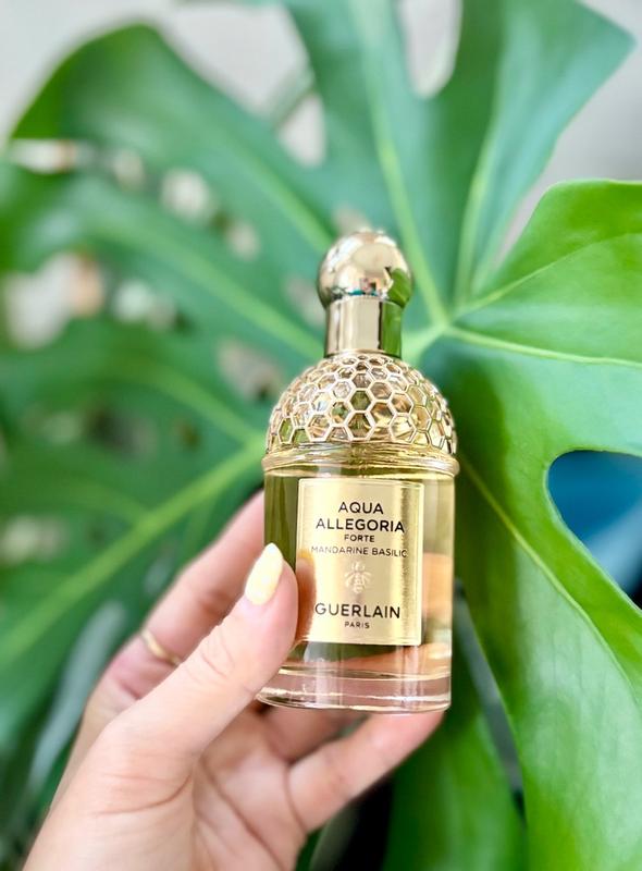GUERLAIN Aqua Allegoria Forte Mandarine Basilic Eau de Parfum, 4.2