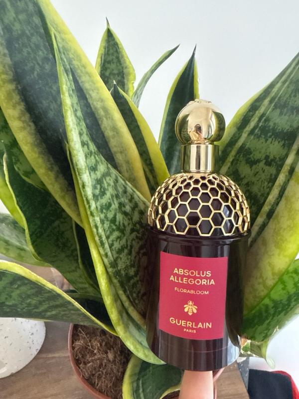 Customer carousel item 9.