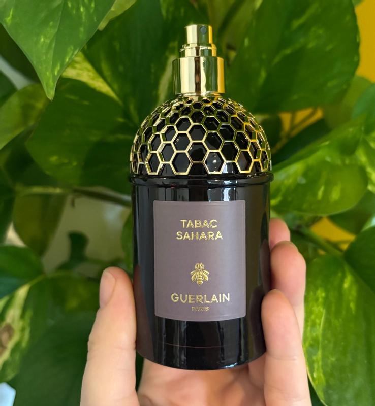 Review Thumbnail Image 0 1216077069