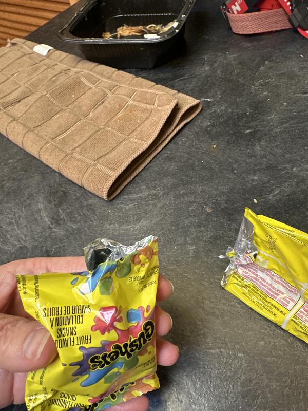 Tropical | Gushers
