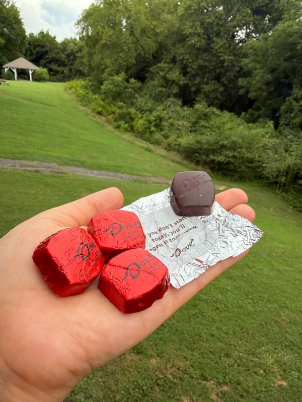 DOVE オール５ミリ　セミドライ DOVE PROMISES Dark Chocolate Bag, 7.61oz | Dove