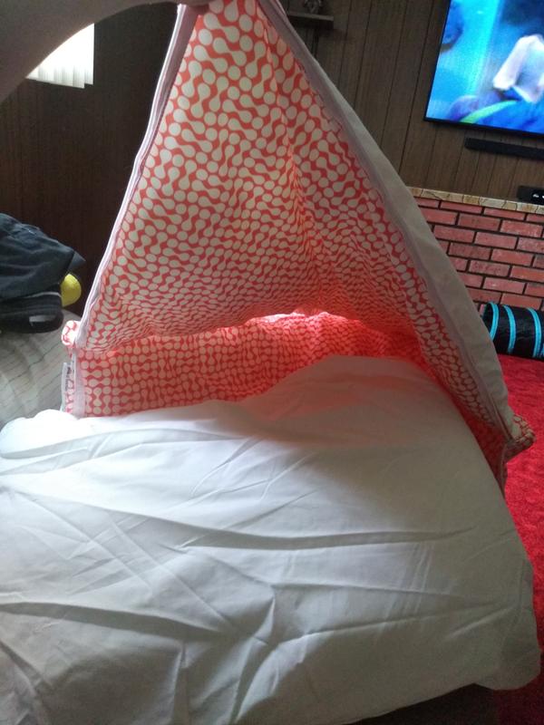 Transforms into two pillows