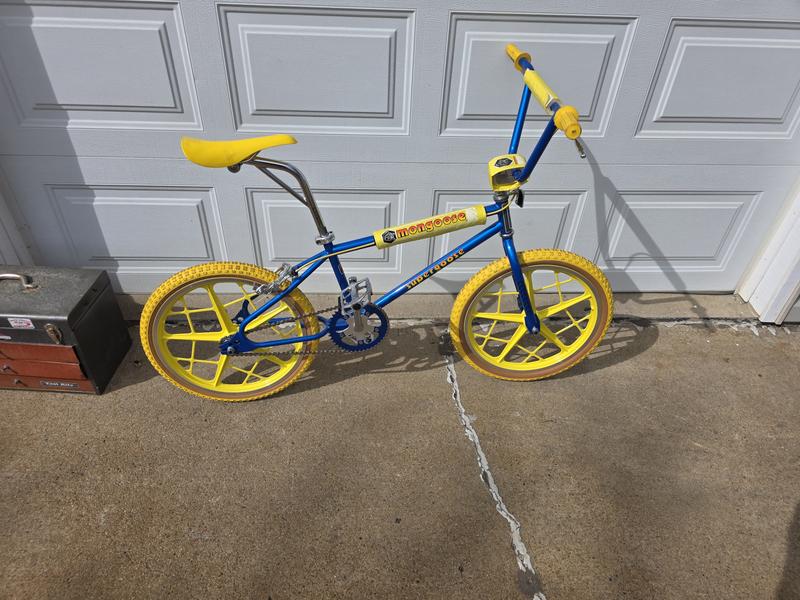 Motomag III – Mongoose