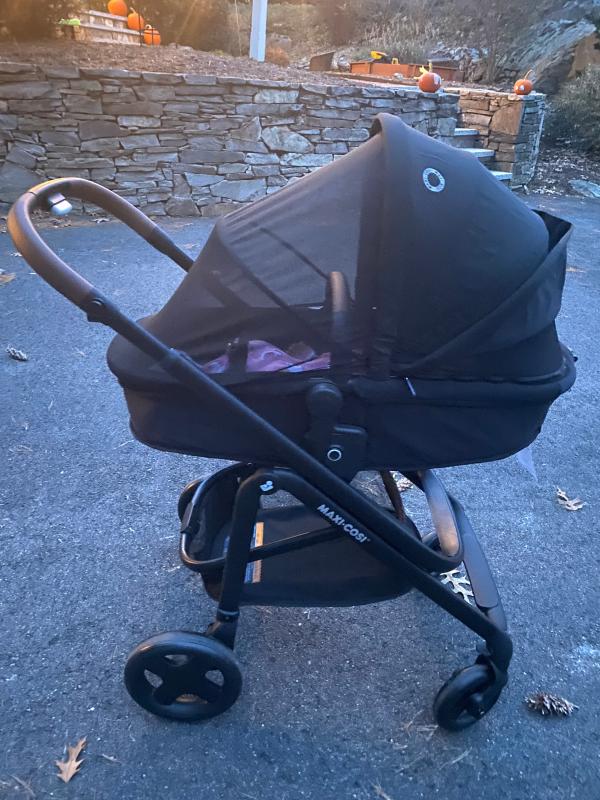 Photo from External reviewer