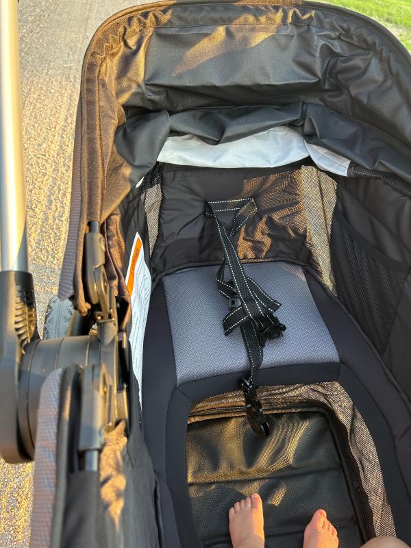 Photo from alyssakw16