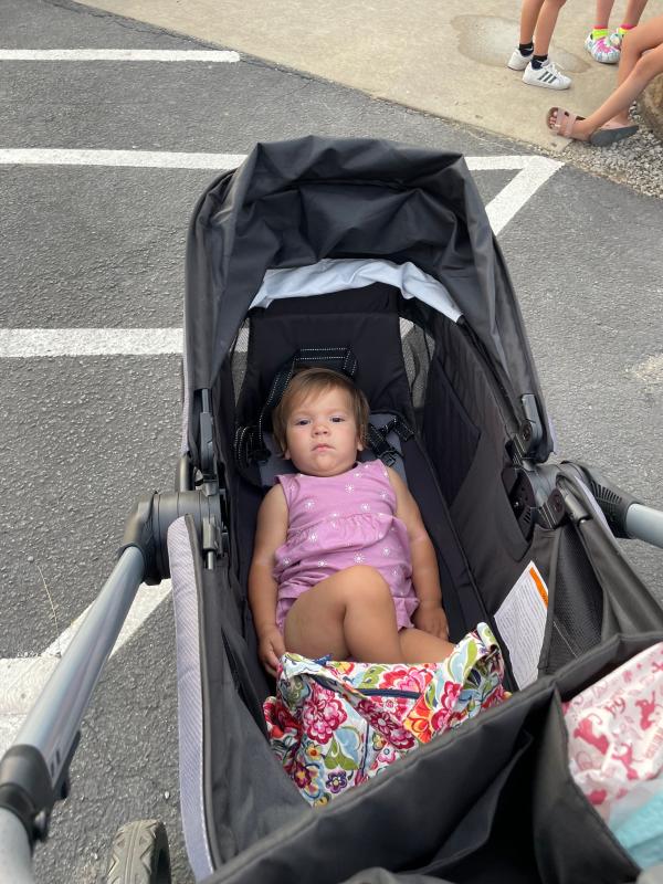 Plenty of comfy napping space