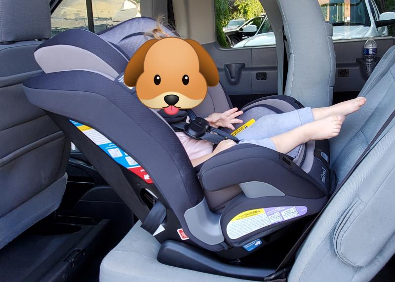 Photo from External reviewer