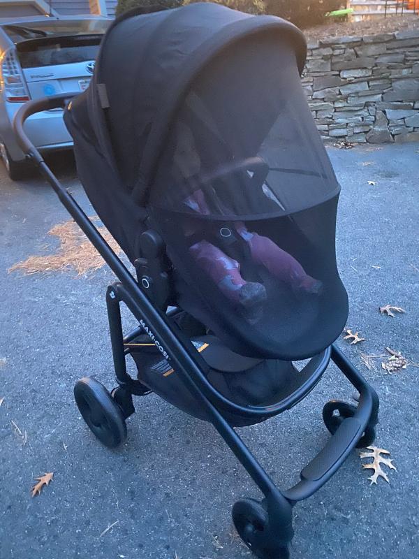 Photo from External reviewer