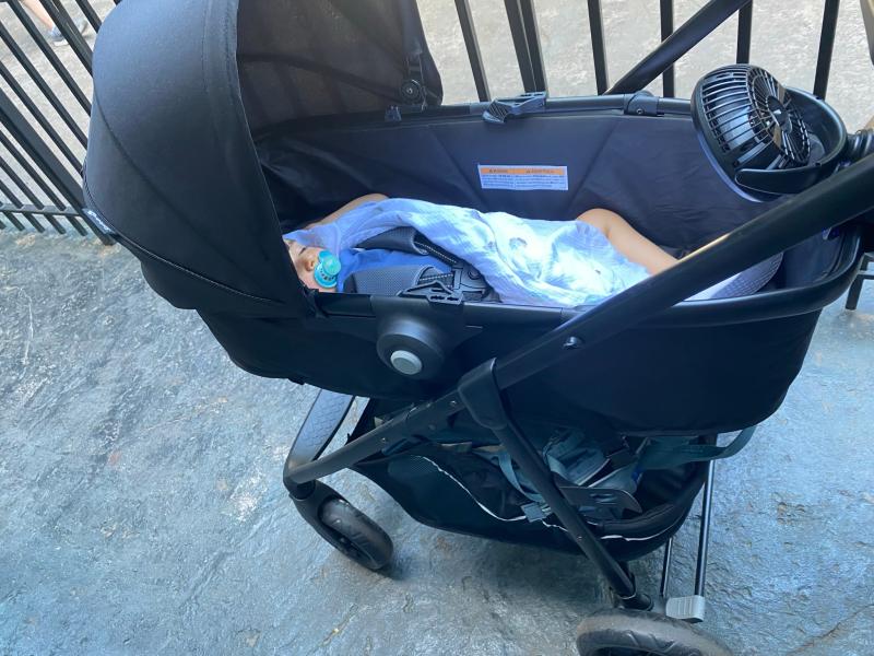 Tilted back to snack| Upright just hanging out| Facing me napping comfortably