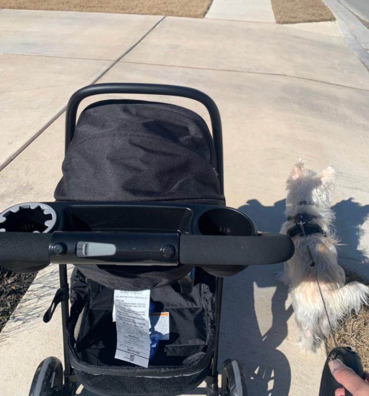 walking the dog - stroller can be used with just one hand| carriage mode| Baby on the car seat| toddler fits well