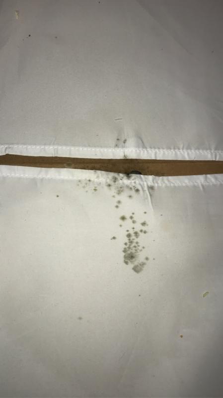Mold fabric cant be removed