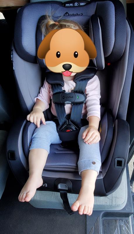 Photo from External reviewer