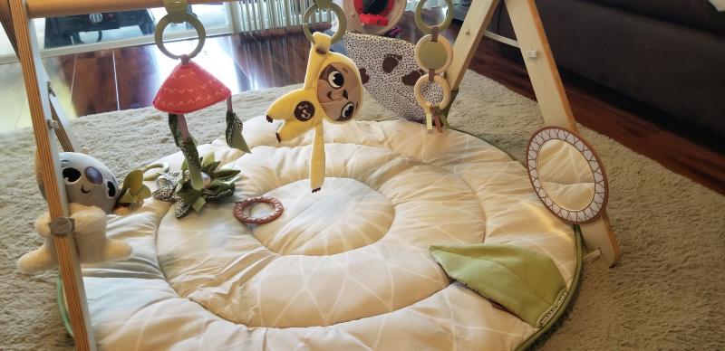 Tiny Love Boho Chic Luxe Developmental Gymini
