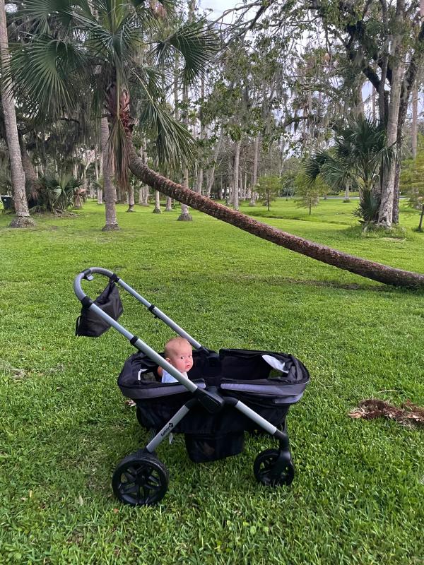 Photo from External reviewer