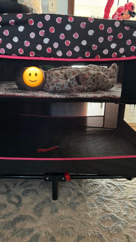 Great visibility through the sides!| So much room for baby!