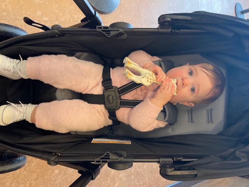 Photo from External reviewer