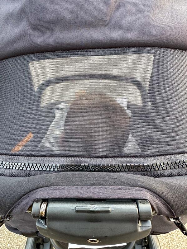 Peek a boo window| Instant Carriage Mode| Tayla Max| Sleepy babe