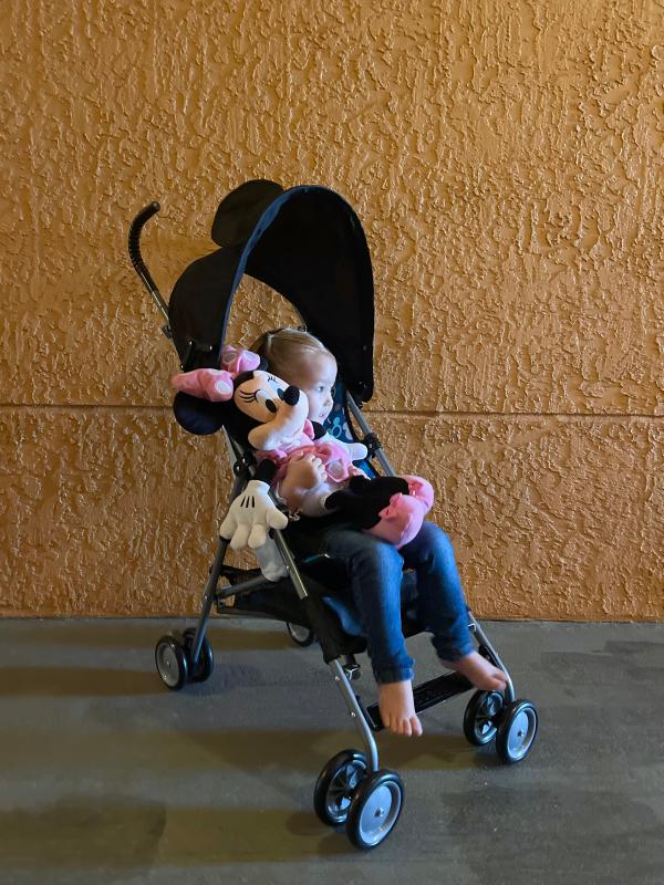 Photo from External reviewer