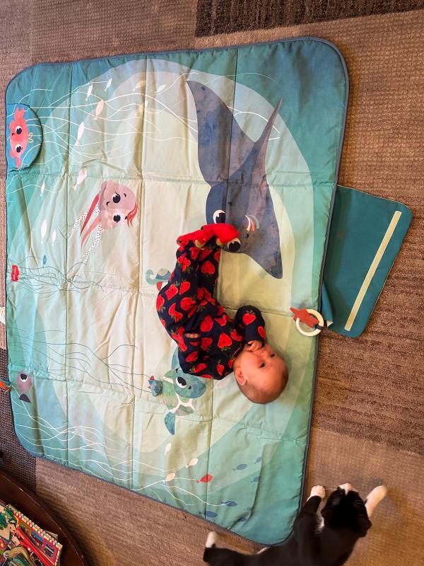 Size when open| Size when folded