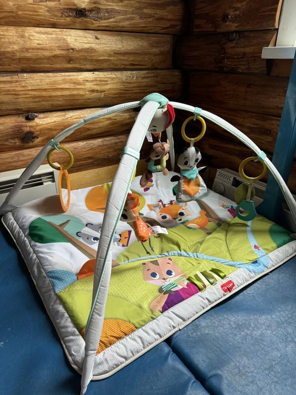 Photo - commentaire&nbsp;7.