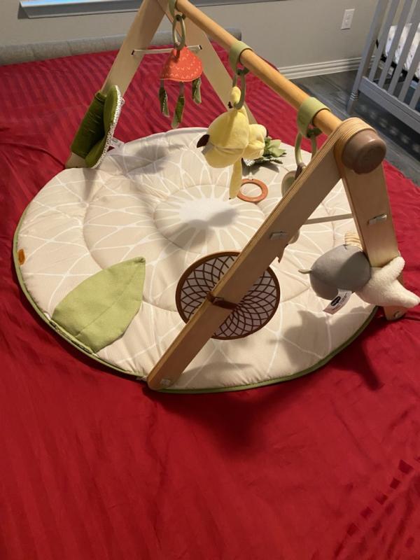 Sturdy bar| Main character| Soft pad