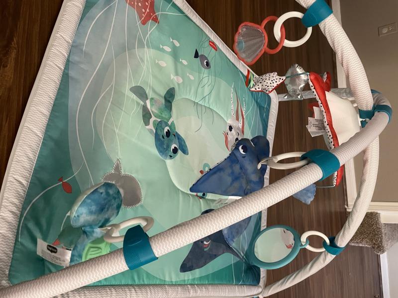 Photo from BoyMom