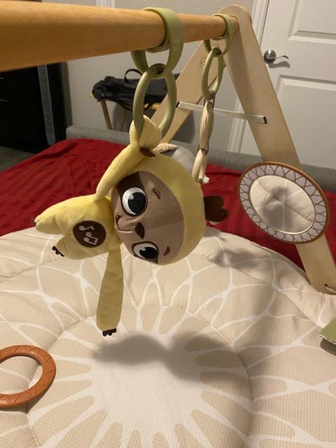 Sturdy bar| Main character| Soft pad