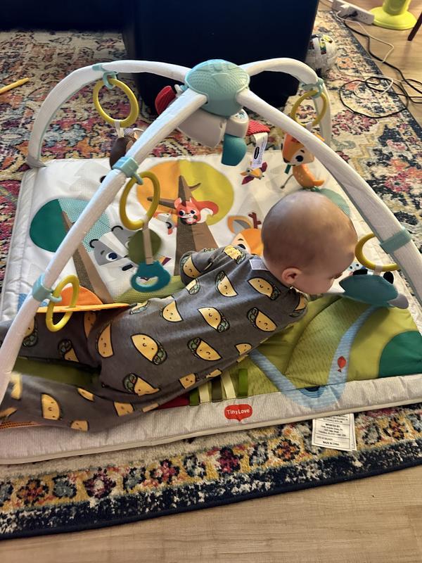 Photo - commentaire&nbsp;8.