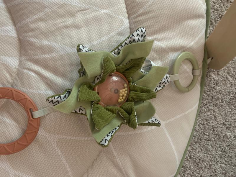 Adorable koala lovey!| Leaf kicker with built in rattle!| Gorgeous play mat!| Textured crinkly flower!