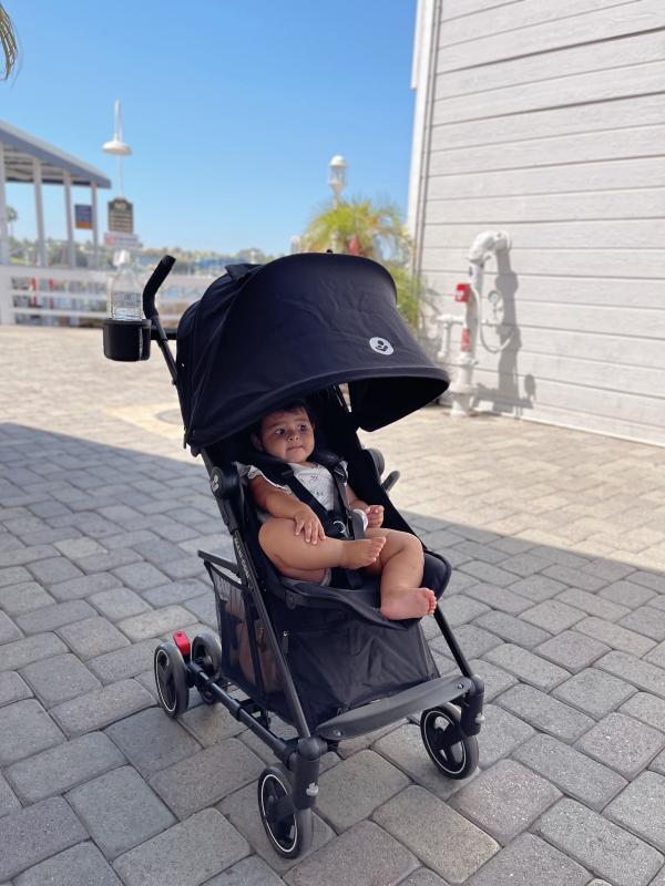 Customer photo for "We love this stroller"