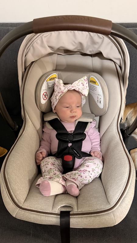 Review Thumbnail Image 0 367334176