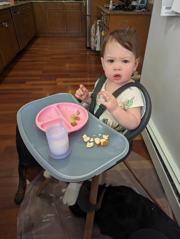 First time in the chair!| First time eating in the chair!