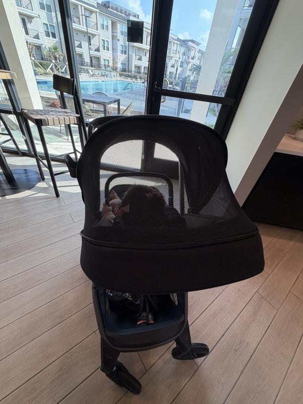 Customer photo for "Luxury stroller"