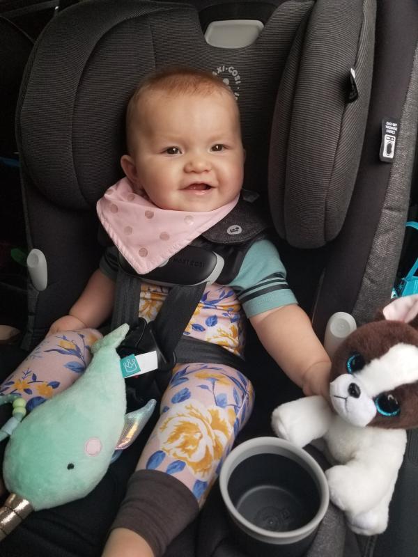 Beautiful right out of the box!| Fits perfect in our little hatchback| Riding in style!