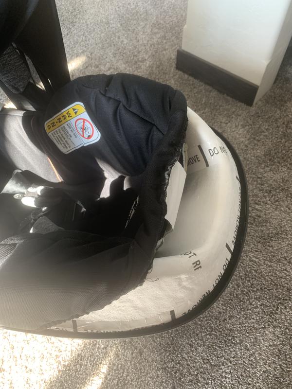 Photo from Joe123