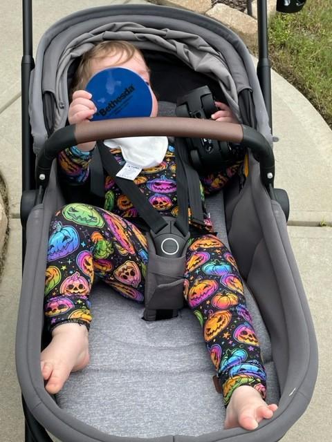 Great sun shade| Recline position in stroller| Stylish and comfortable stroller| Easy numbered car seat base