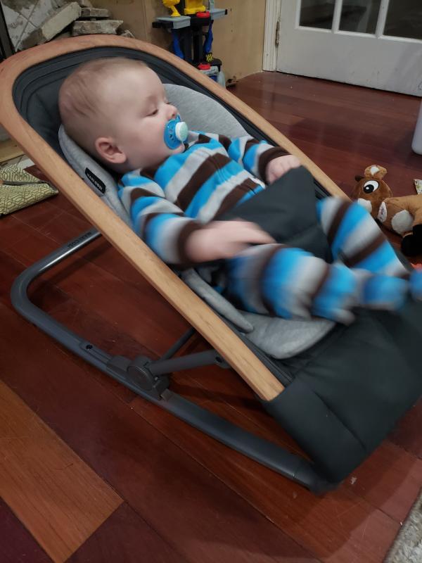 Comfy cozy and enjoying his new seat!