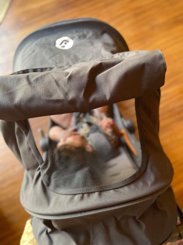Customer photo for "We love this stroller"