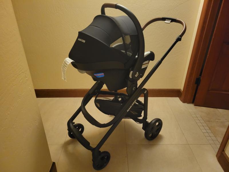 The best!| 360 netting!| Setup| Bassinet mode