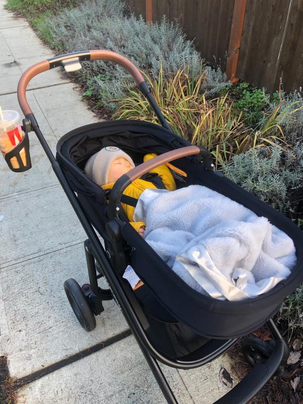 Vented Canopy| Carriage feature allows baby to sleep on our walks| Folded stroller| cup holder is an essential accessory