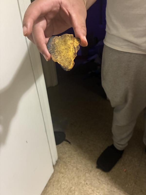 Picture of the chip