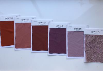 David's bridal 2024 wine swatch